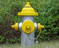 Silver and Yellow Fire Hydrant Royalty Free Stock Photo