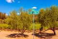 Silverado Trail Road Sign in Napa Valley California Royalty Free Stock Photo