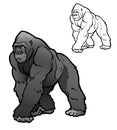 Silverback Gorilla Illustration