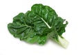 Silverbeet