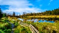 The Silverdale Creek Wetlands, a freshwater Marsh and Bog near Mission, British Columbia Royalty Free Stock Photo