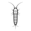 Silverfish vector icon