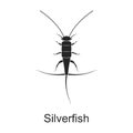 Silverfish vector black icon. Vector illustration pest insect silverfish on white background. Isolated black