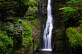 Silverthread Falls in the Fresh Green of Spring