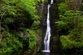 Silverthread Falls in the Fresh Green of Spring