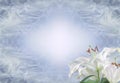 Silvery blue Lily Funeral Wake order of service invitation background banner concept Royalty Free Stock Photo