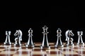 Silvery chess figures standing on chessboard