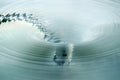 Silvery Vortex of Swirling water