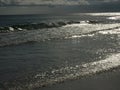 Silvery Waters on the Gulf Coast