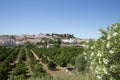 Silves Castle Algarve Portugal Royalty Free Stock Photo