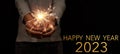 Silvester Party / New Year background banner - Young happy pretty woman with gray pullover holding a sparkling sparkler in her