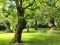 Silviella recreation area, Belmonte de Miranda, Asturias, Spain