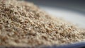 Silymarin supplement. Ground Milk Thistle seeds. Herbal alternative superfood in herbal powder