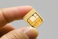 Sim card in hand isolated on gray background, close-up. Royalty Free Stock Photo