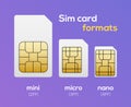 Sim card nano chip, micro simcard isolated mini size vector icon Royalty Free Stock Photo