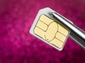 Sim card on tweezers Royalty Free Stock Photo