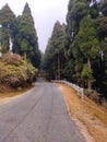 Simana view point, India Nepal border, Mirik road, Darjeeling