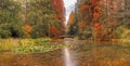 Beautiful lake covered in abundant vegetation