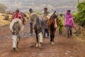 Local villagers with mules in Simien mountains, Ethiopia