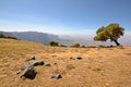 Simien Mountains landscape