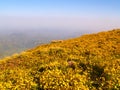 Simien National Park