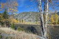 Similkameen River by Princeton Royalty Free Stock Photo