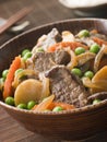 Simmered Beef Fillet and Vegetables Royalty Free Stock Photo