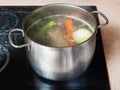 Simmering meat stock in stockpot on ceramic cooker Royalty Free Stock Photo