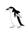 Simple Illustration of a chinstrap Penguin chin strap