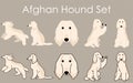 Simple and adorable Afghan Hound set illustrations Royalty Free Stock Photo