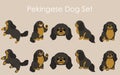 Simple and adorable black and tan Pekingese Dog illustrations set