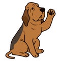 Simple and adorable Bloodhound dog illustration Waving