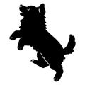 Simple and adorable Border Collie silhouette jumping with details