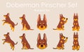 Simple and adorable Doberman Pinscher red and tan color illustrations set Royalty Free Stock Photo