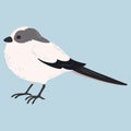 Simple and adorable flat colored Long-tailed tit illustration Royalty Free Stock Photo