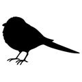 Simple and adorable flat colored Long-tailed tit illustration in silhouette Royalty Free Stock Photo