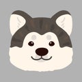 Simple and adorable flat dark colored Akita Dog front head