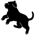 Simple and adorable French Mastiff Silhouette jumping with details