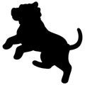 Simple and adorable French Mastiff Silhouette jumping