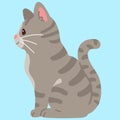 Simple and adorable Gray Tabby cat sitting in side view flat colored Royalty Free Stock Photo