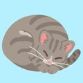 Simple and adorable Gray Tabby cat sleeping flat colored Royalty Free Stock Photo