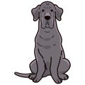 Simple and adorable Great Dane illustration sitting in front view Royalty Free Stock Photo