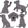 Simple and adorable Great Dane illustrations flat colored