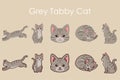 Simple and adorable Grey Tabby Cat illustrations set Royalty Free Stock Photo