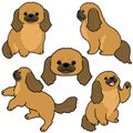 Simple and adorable illustration set of fawn Pekingese dog