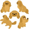 Simple and adorable illustration set of Pekingese dog flat colored