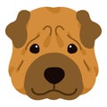 Simple and adorable illustration of Shar-Pei Dog front head flat colored