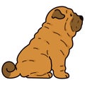 Simple and adorable illustration of Shar-Pei Dog sitting in side view