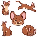 Simple and adorable illustrations of Abyssinian cat outlined