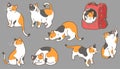 Simple and adorable illustrations of Calico Cat outlined